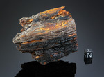 Legno di Tunguska - Corteccia bruciata di 9x8 cm. di 42.15 grammi (McMIM002)