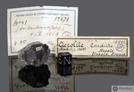  HESSLE - Caduta 01 Gennaio 1869, Uppsala, Svezia. Chondrite H5. Massa totale recuperata 20 kg. Fine pezzo con crosta di 17.2 grammi