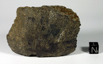 COLLESCIPOLI - Caduta il 3 Febbraio 1890, Terni, Umbria, Italia. Chondrite H5. Massa totale recuperata 5 kg. Fine pezzo con crosta di 175.2 grammi