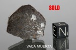 VACA MUERTA - SOLD
