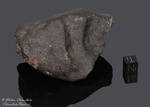 PULTUSK - Caduta il 30 gennaio 1868, Varsavia, Polonia. Chondrite H5 brecciata, venata. Massa totale recuperata 250 kg. Frammento con crosta gr.375.8