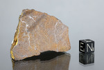 NWA 2965 - Found 2005, Erfoud, Morocco, Africa. Chondrite Enstatite EL-melt rock Total mass 100 kg. - End Piece gr.117 - € 468,00