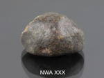 NWA XXX