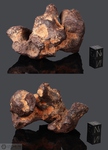 MUNDRABILLA - Recuperata nel 1911, Nullarbor Plain, Australia. Siderite Octahedrite IAB-Ung. Massa totale recuperata oltre le 24 tonnellate. Pezzo in collezione: frammento gr.345.5 (McM151) 