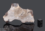 ODESSA - Recuperata nel 1922, Contea Ector, Texas, USA. Siderite Octhaedrite IAB-MG. Massa totale recuperata 1.6 tonnellate. Pezzo in collezione: fetta gr.123.42 (McM176)