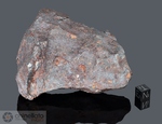 ODESSA - Recuperata nel 1922, Contea Ector, Texas, USA. Siderite Octhaedrite IAB. Massa totale recuperata 1.6 tonnellate. Pezzo in collezione: frammento gr.1013 (McM175)
