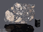 NWA 13859 - Recuperata nel 2021, Marocco, Africa. Breccia Feldspatica Troctolite-rich Lunare. Massa totale recuperata 2045 grammi. Pezzo in collezione: fetta gr.17.3 (McM712)