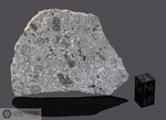 NWA 14681 - Recuperata nel 2021, Algeria, Africa. Achondrite Lunare troctolite liquefatta. Massa totale recuperata 5.5 kg. Pezzo in collezione: fetta gr.10.9 (McM728)