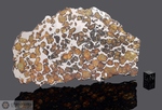 IMILAC - Recuperata nel 1822, Deserto di Atacama, Chile. Pallasite. Massa totale recuperata 920 kg. Pezzo in collezione: fetta gr.94 (McM117)