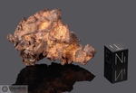 IMILAC - Recuperata nel 1822, Deserto di Atacama, Chile. Pallasite. Massa totale recuperata 920 kg. Pezzo in collezione: frammento gr.48.2 (McM118)