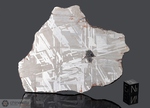 WABAR - Recuperata nel 1863, Rub’al Khali, Sud Arabia. Siderite Octahedrite IIIAB. Massa totale recuperata 2533 kg. Pezzo in collezione: fetta gr.73.8 (McM535)