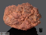 WOLF CREEK - Recuperata nel 1947, S. of Hall’s Creek, Kimberley, Australia. Siderite Octahedrite IIIAB. Massa totale recuperata 755 kg. Pezzo in collezione: frammento gr.4165 (McM257)