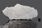 GIBEON - Recuperata nel 1836, Great Nama Landa, Namibia, Africa. Siderite Octahedrite IVA. Massa totale recuperata oltre le 26 tonnellate. Pezzo in collezione: fine pezzo kg.1.060 (McM096)