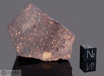 GREAT SAND SEA 019 - Recuperata nel 1999, Sahara Egiziano. Chondrite LL6. Massa totale recuperata 12 kg. Pezzo in collezione: fine pezzo gr.78.70 (McM522) 