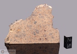 HAMMADAH AL HAMRA 183 - Recuperata nel 1996, Libia, Africa. Chondrite LL6 Breccia. Massa totale recuperata 5 kg. Pezzo in collezione: fetta gr.137.1 (McM490) 