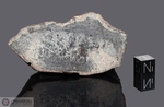 HAMMADAH AL HAMRA 202 - Recuperata nel 1997, Libia, Africa. Chondrite LL6. Massa totale recuperata 386 grammi. Pezzo in collezione: fetta gr.35.87 (McM541) 