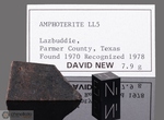 LAZBUDDIE - Recuperata nel 1970, Contea Parmer, Texas, USA. Chondrite LL5. Massa totale recuperata 8.6 kg. Pezzo in collezione: fetta gr.7.9 (McM289) 