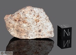 NWA XXX - Found 2000, Morocco, Africa. Chondrite. Total mass unknown. Piece in collection: end piece with crust gr.31 (McM342)
