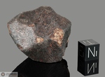 NWA XXX - Morocco, Africa. Chondrite. Total mass recovered unknown. Specimen in collection: main mass gr.73 (McM481)
