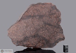 NWA XXX - Morocco, Africa. Chondrite. Total mass recovered unknown. Specimen in collection: fine pezzo gr.802 (McM720)