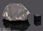 ALLENDE - Caduta l’8 Febbario 1969, Chihuahua, Messico. Chondrite Carbonacea CV3. Massa totale recuperata 2 tonnellate. Pezzo in collezione: frammento gr.85.73 (McM007)