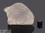 TAFASSASSET - Recuperata nel 2000/2001, Deserto di Tenerè, Nigeria. Chondrite Carbonacea Equilibrata CR anomala. Massa totale recuperata 114 kg. Pezzo in collezione: fetta gr.54 (McM443) 