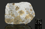 MONTE MILONE - Fall 8 May 1846, Macerata, Marche, Italy. Chondrite L5 brecciated. Total mass 3.13 kg. - Slice with crust gr.11.75 - € 2.350,00 with copy old labels