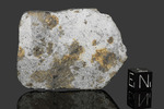 MONTE MILONE - Fall 8 May 1846, Macerata, Marche, Italy. Chondrite L5 brecciated. Total mass 3.13 kg. - Slice with crust gr.16.9 - € 3.380,00 with copy old labels