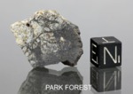 PARK FOREST - Fall 26 March 2003, Park Forest, Illinois, USA. Chondrite L5. Total mass over 18 kg. - Slice 5.6 - € 376,00