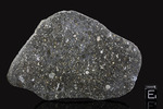 ALLENDE - Fall 8 February 1969, Chihuahua, Mexico. Carbonaceous Chondrite CV3. Total mass 2 tons. - Slice with crust gr.57.7 - € 1.269,00