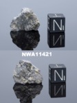 NWA11421