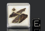 NWA 15061 - Found 2022, Mali, Africa. Achondrite Winonaite. Total mass 5.72 kg. - Slices and fragments gr.1.35 - € 50,00