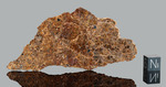 NWA 16317 – Found 2022, Algeria, Africa. Achondrite Diogenite. Total mass 6.6 kg. Slice gr.20.53 - € 360,00