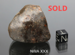 NWA XXX