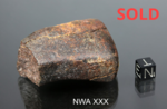NWA XXX