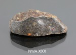 NWA XXX