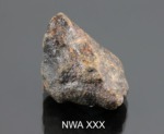 NWA XXX