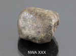 NWA XXX