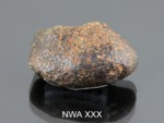 NWA XXX