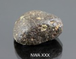 NWA XXX