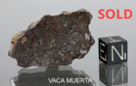 VACA MUERTA