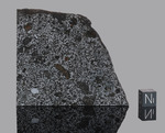 TANEZROUFT 091 - Found 2020, Adrar, Algeria, Africa. Mesosiderite. Total mass 4.99 kg. - Slice gr.50.321 - € 402,00