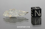 DHOFAR 018 