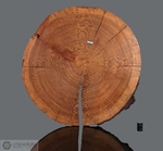 Legno di Tunguska - Sezione completa di 31x30,5 cm di 859 grammi (McMIM002)