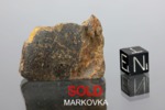 MARKOVKA
