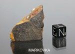 MARKOVKA