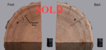 Tunguska Wood - Section of 131,18 x 91,08 x 98,62 mm The Tunguska event zone in this section is very interesting as it is composed of a series of thin rings with close growth and then normal growth resumes. - Price on request