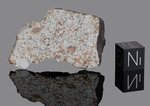 CAMPOS SALES - Fall January 31, 1991, Cearà, Brazil. Chondrite L5. Total mass recovered 23.68 kg. - End piece with crust gr.19.472 - € 200,00
