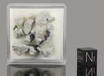 Drelòw - Fall 18 February 2025, Drelòw, Polonia. Chondrite L6. Total mass 3730 grams. - Fragments cith and without crust gr.5.117 - € 300,00