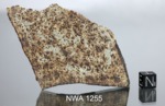 NWA 1255